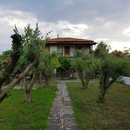 Olive Beach House